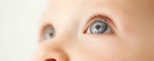 Artículo sobre la visión de un bebé 500x200