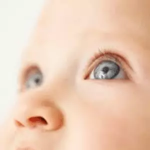 Artículo sobre la visión de un bebé